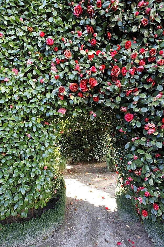 Parador Casa Da Insua