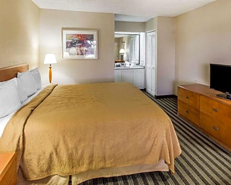 King Room - Non-Smoking