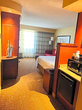 King Room with Roll-In Shower - Disability Access