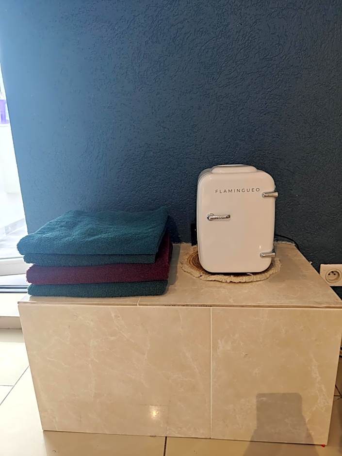 Suite 2 lits Auberge du Manala Hôtel 24 24 proche Basel