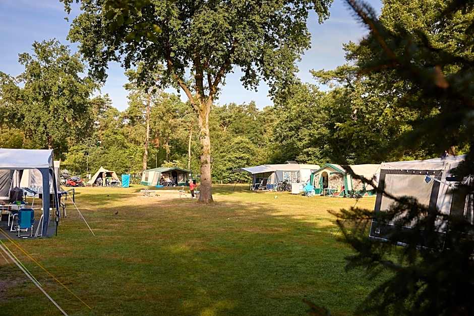 RCN Vakantiepark de Noordster