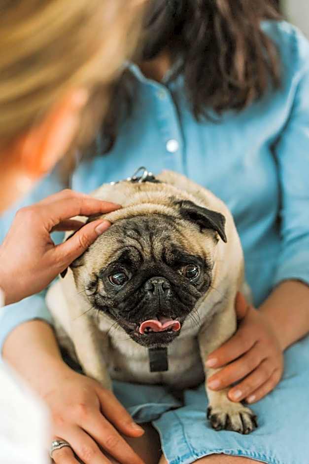 PURO Wroclaw Stare Miasto