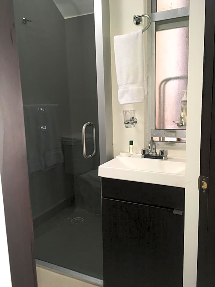 Bosque de Magnolias 93