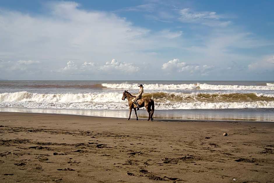 Oshom Bali