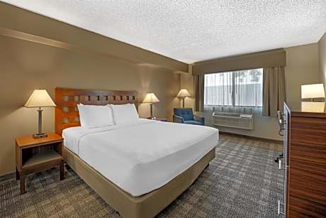 King Room - Non-Smoking