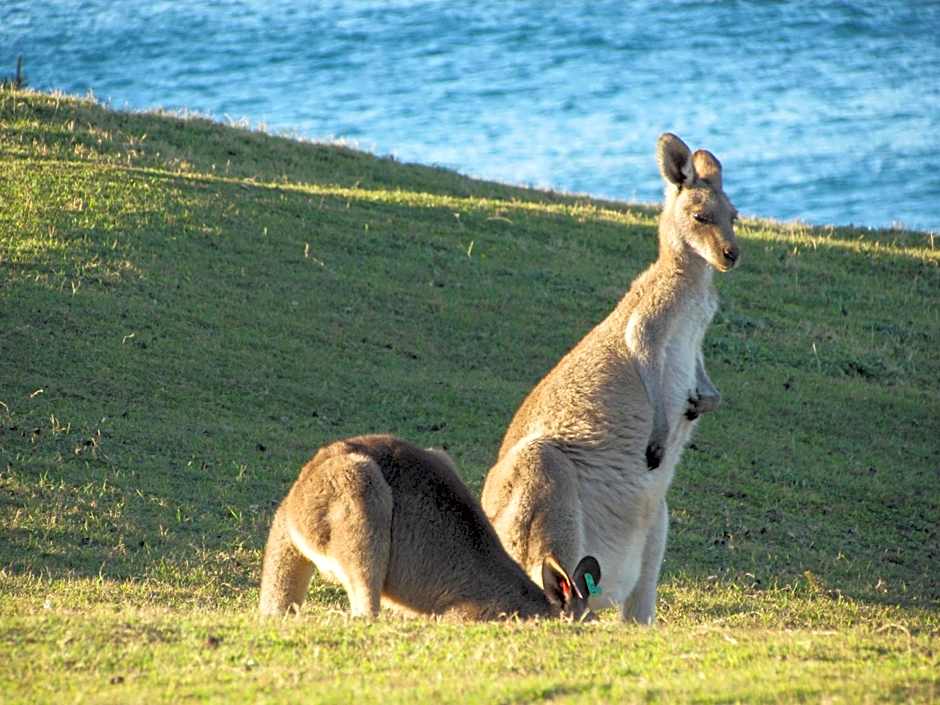 Lake Russell Retreat