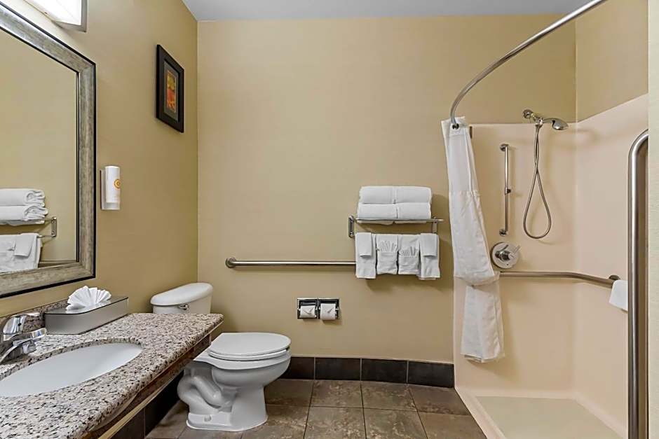 Comfort Suites Denver Tech Center/Englewood