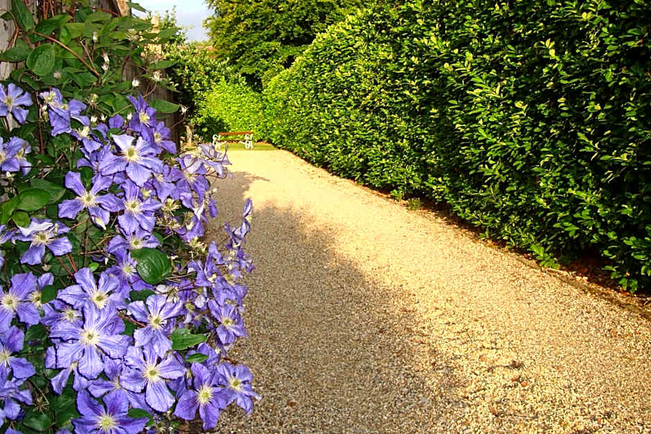 Pinfield Boutique Hotel