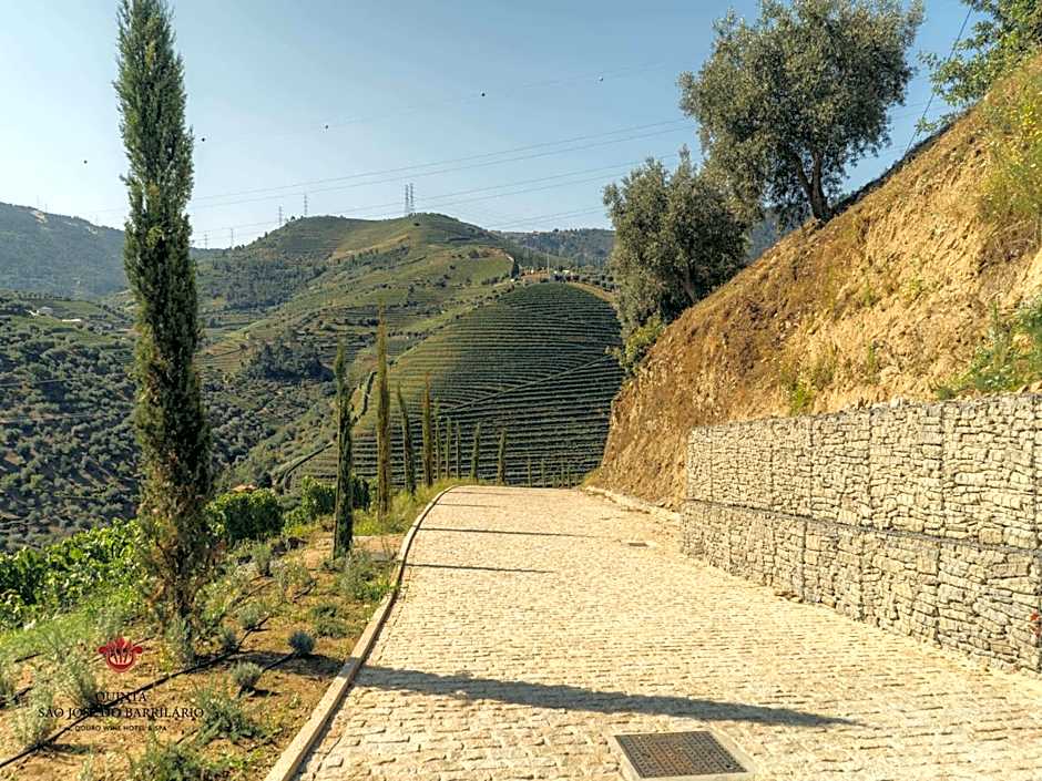 Barrilario Douro Wine Hotel e Spa - Quinta São Jose do Barrilario