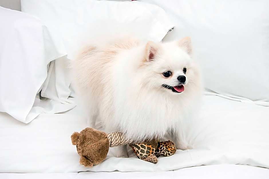 Ramada Hotel & Suites Campos Dos Goytacazes