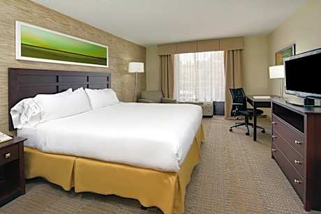 1 King Bed Leisure Non-Smoking