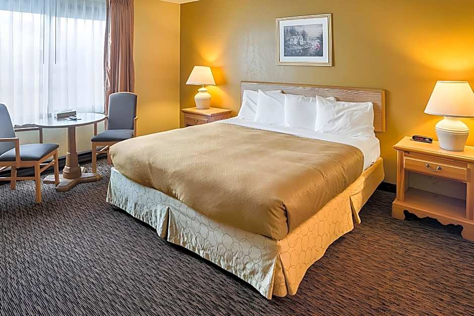 Econo Lodge Duluth near Miller Hill Mall