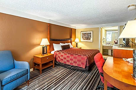 King Room - Non-Smoking/Ground Floor