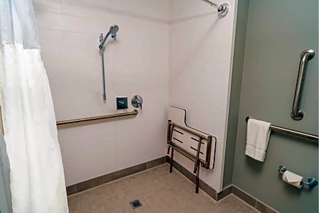 2Queen Accessible Roll In Shower Suite Nosmok