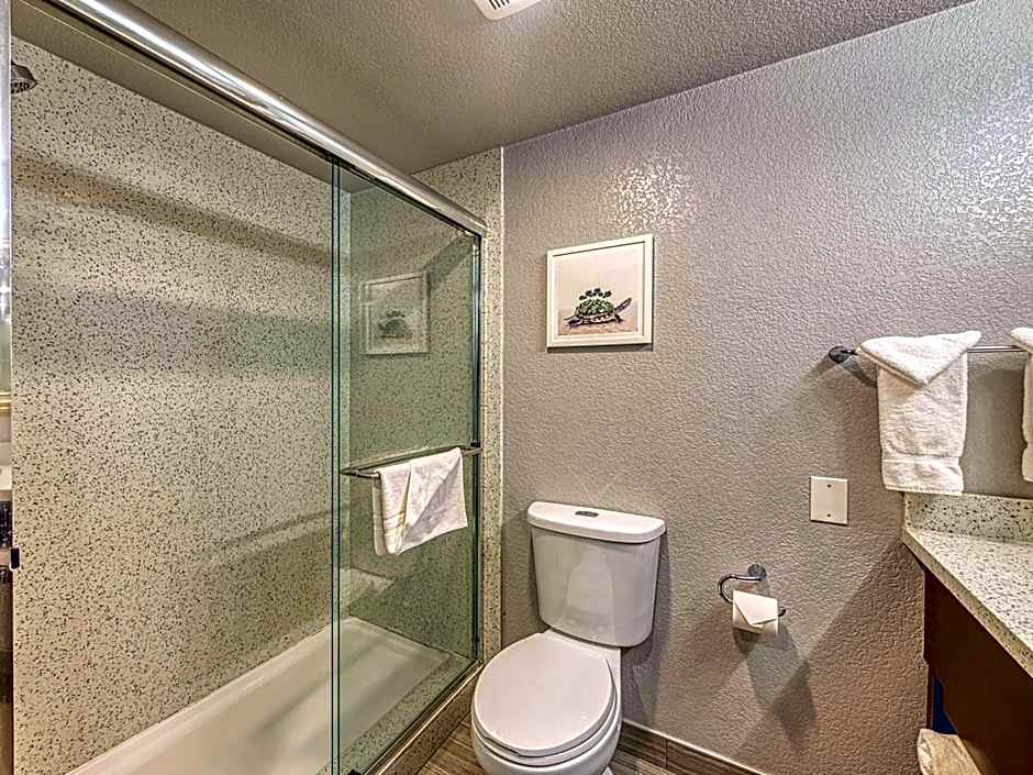 Amanzi Hotel, Ascend Hotel Collection