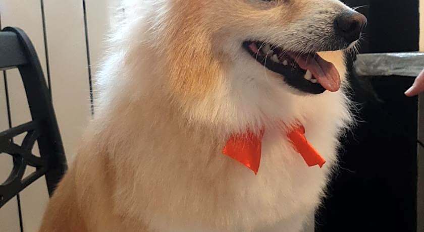 B&B Principe Calaf 3