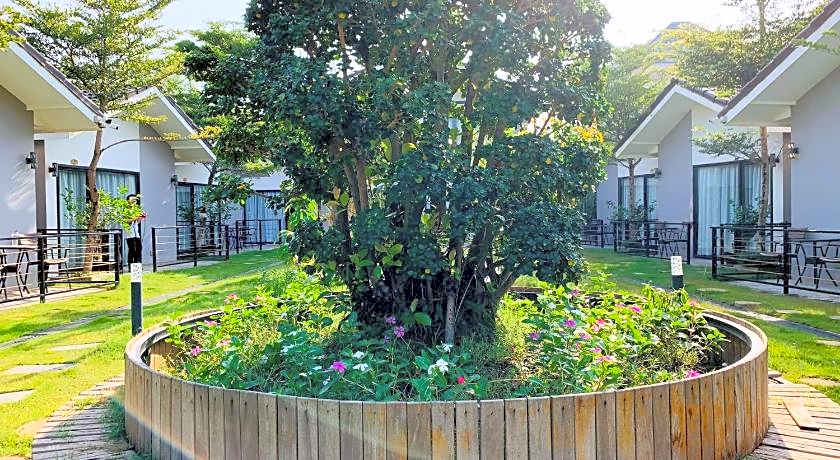 Sandy Clay Bungalows