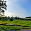 ZUR TRAUBE Schwarzwaldhotel & Restaurant am Titisee