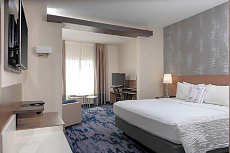 Studio Suite, 1 King, Sofa bed