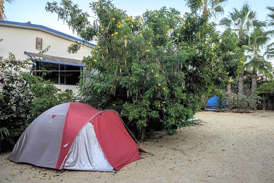 Todos Santos Hostel super fast and stable satellite wifi