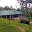 Neelakurunji Plantation Munnar