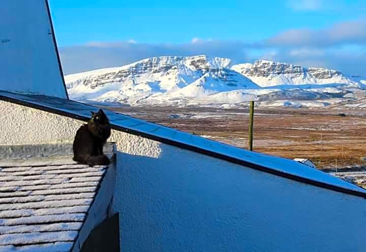Tigh Quiraing- Heather