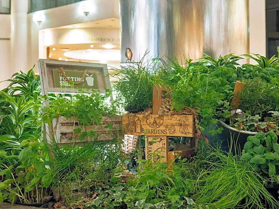 Sofitel London Gatwick