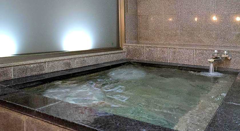 Hotel New Gaea Iizuka