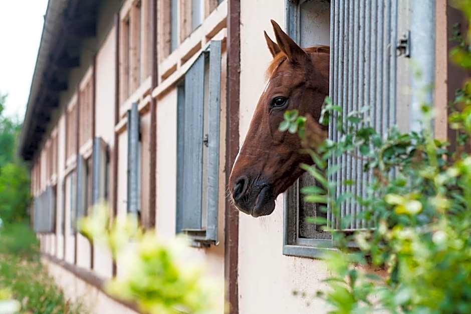 Project JUNE - ehemals Landgasthof Jüterbog