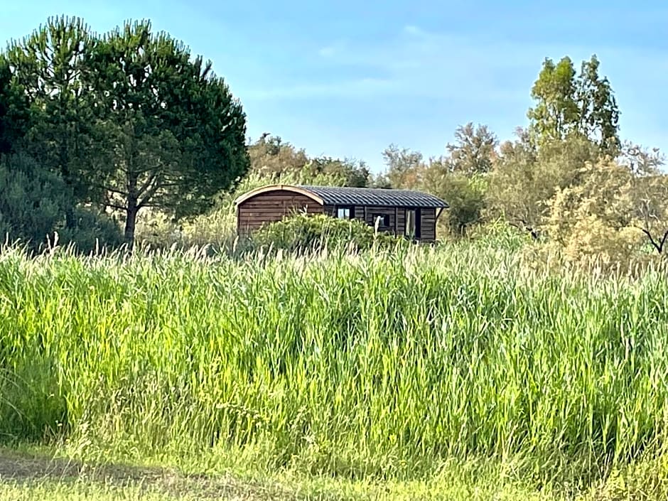 Mas du Couvin, maison d'hôtes en Camargue
