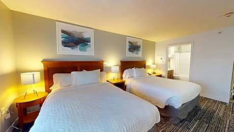 Studio, 2 Queen, Sofa bed