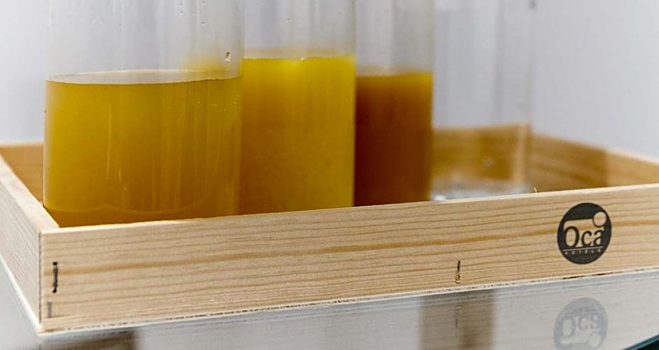 Oca Playa de Foz Hotel&Spa