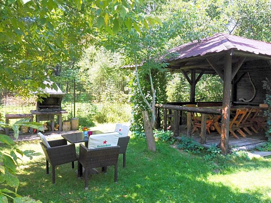 Vila Carpathia