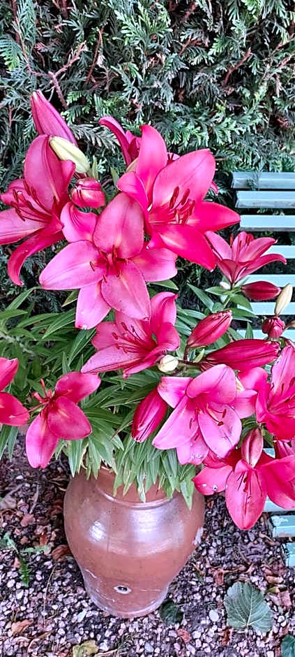 Aerotel Versailles Saint Cyr - L'étape du Silence