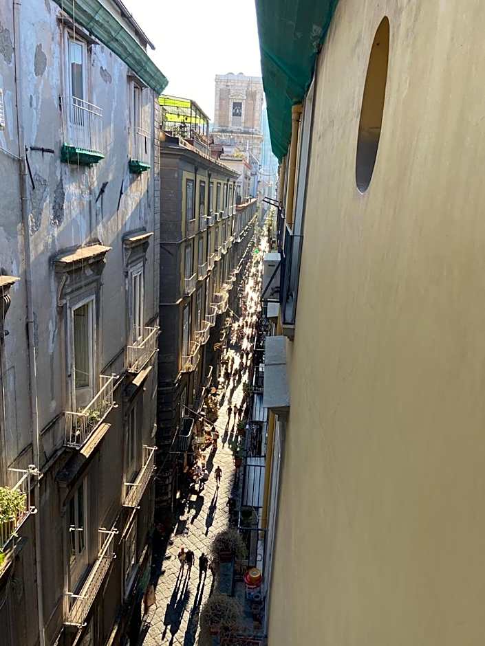 Rooms in San Domenico Maggiore 3