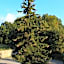 Posada Calera