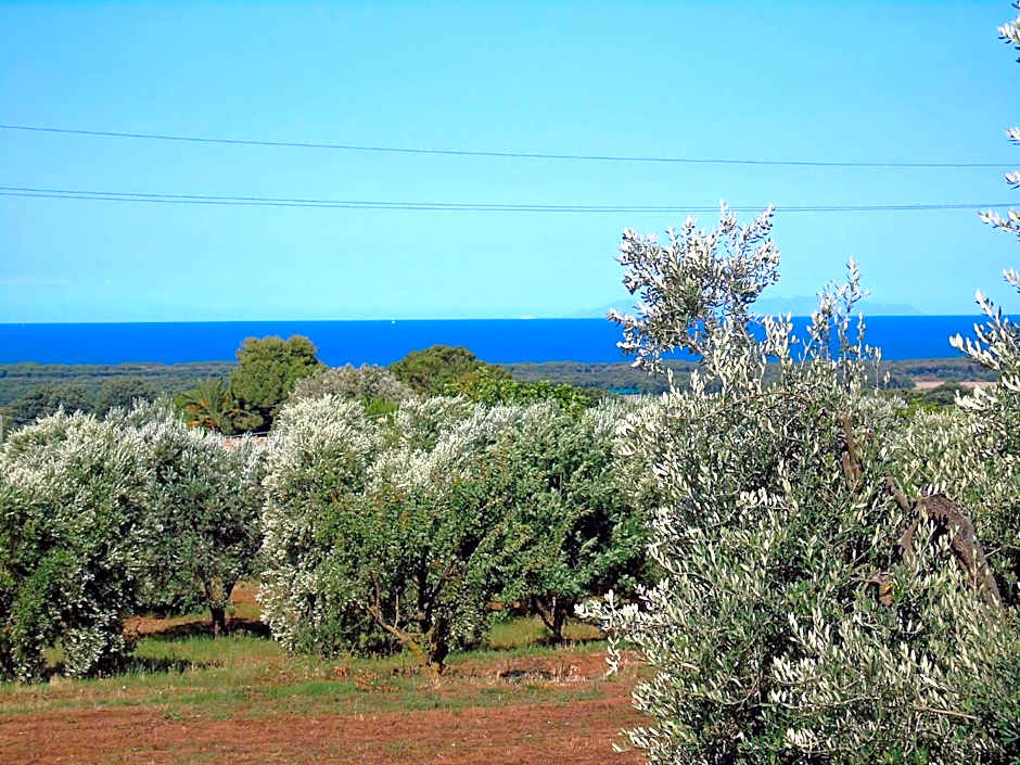 On Holiday Between Sky And Sea geco Di Campiglia pet friendly big garden