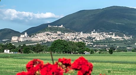 Camere Mariella