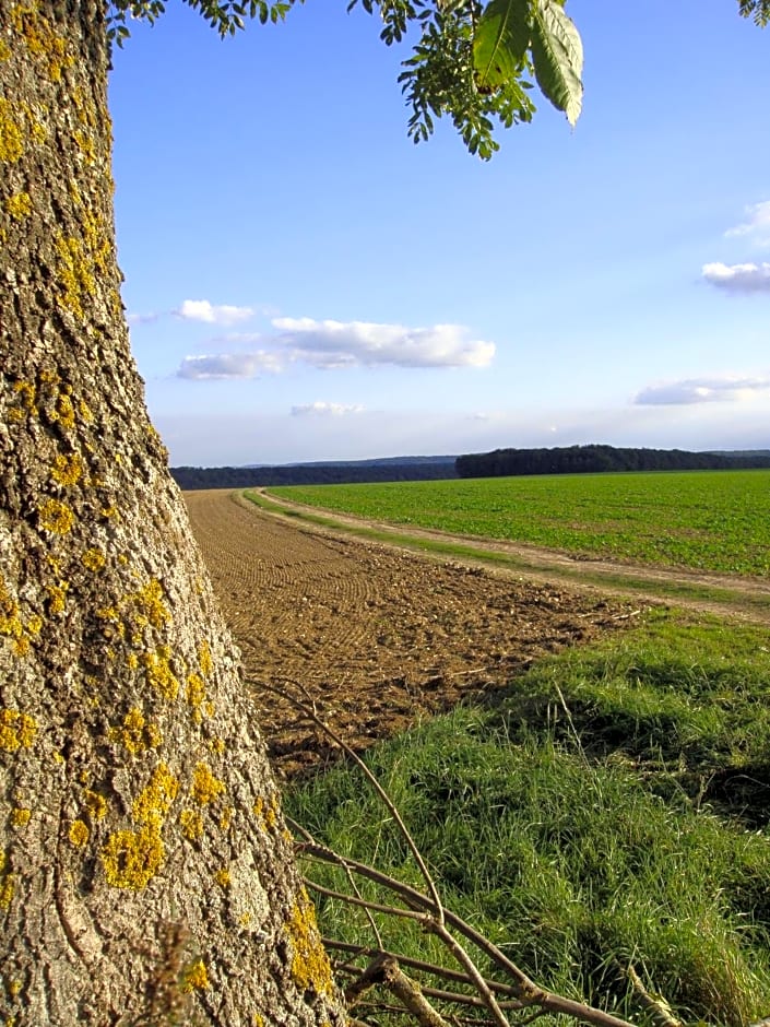 La Grange de Boulaines