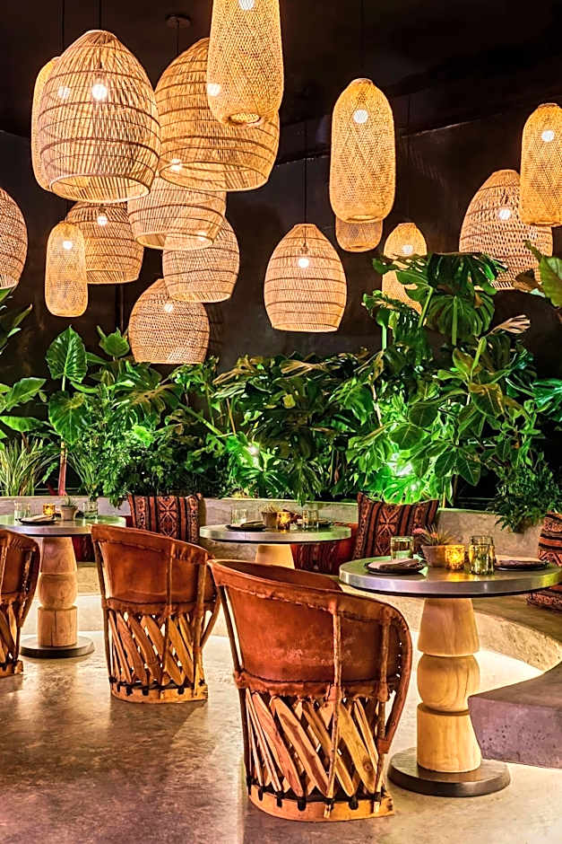 Hollywood Volume, a Tribute Portfolio Hotel