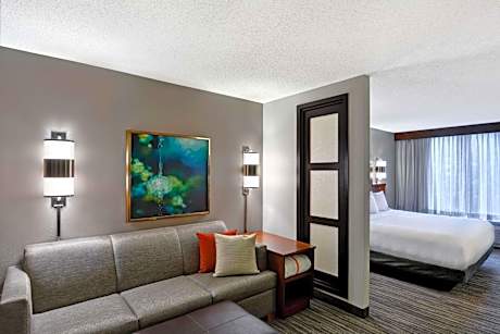 King Room with Sofa Bed