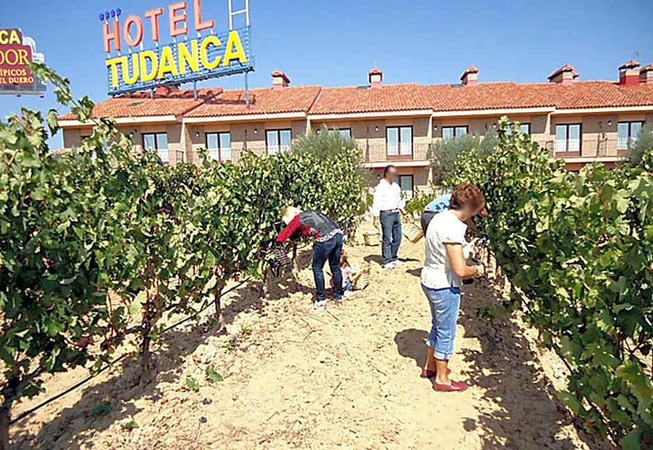 Hotel Spa Tudanca Aranda