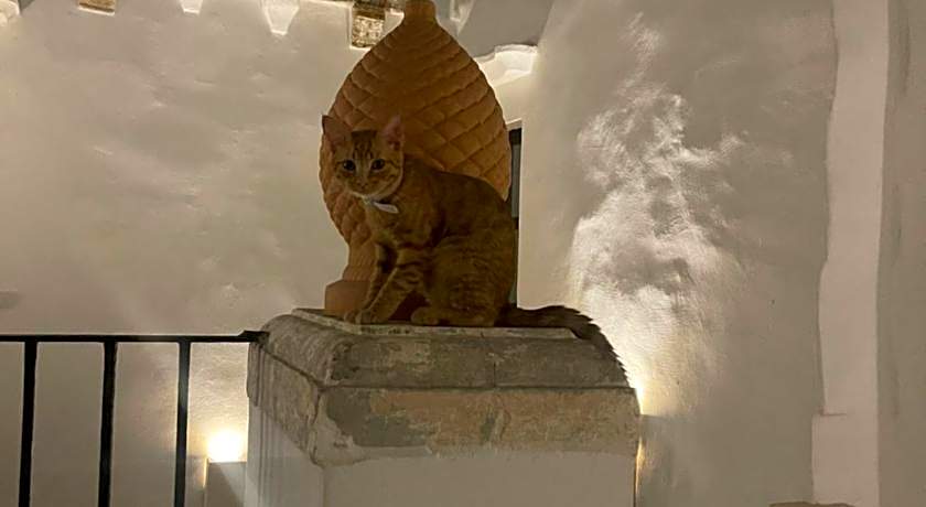 Palazzo NUR Luxury Rooms