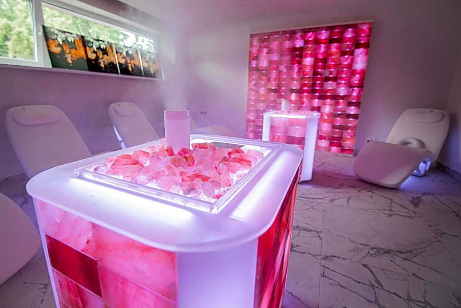 Mineral SPA Draugystė