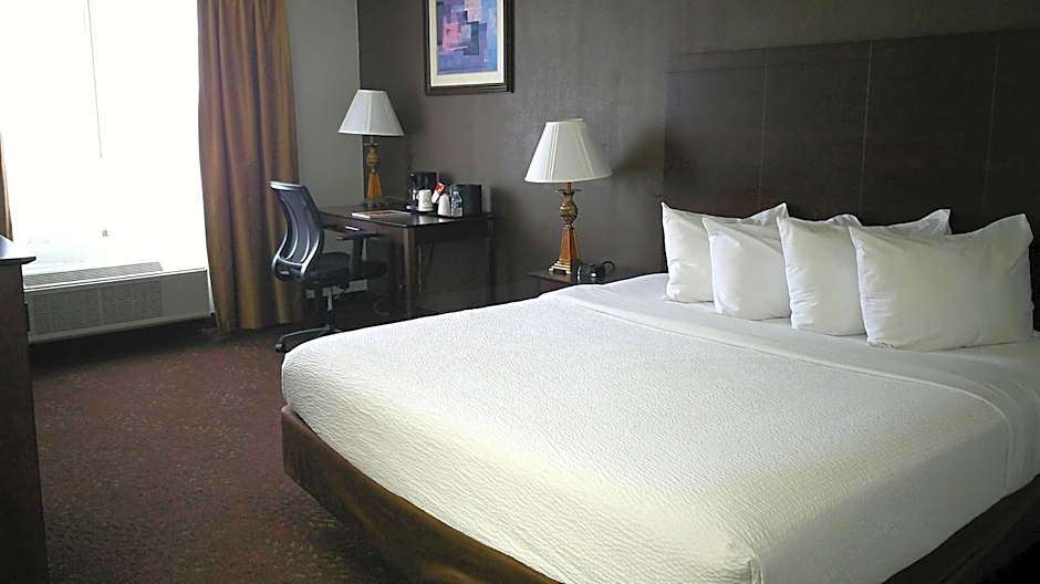 Wyndham Garden Romulus Detroit Metro Airport