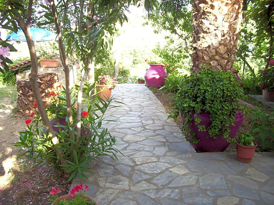 Hotel Elytis