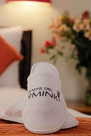 Junior Suite with Terrace