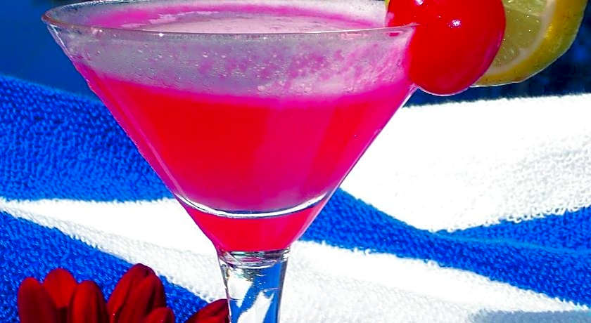 Aneka Lovina Villas & Spa