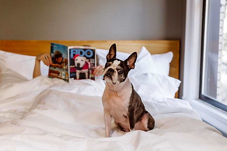 Hotel Max