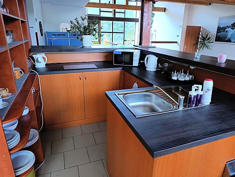 Hotel Harrachov Inn